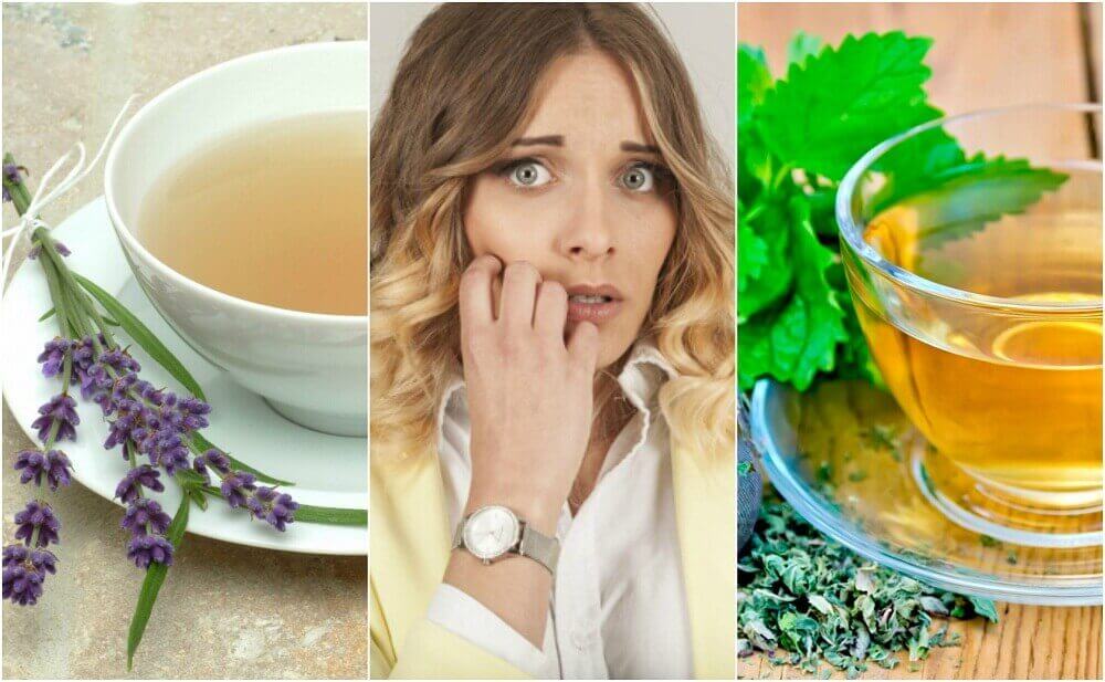 Je zenuwachtigheid bedaren met 5 remedies op basis van kruiden