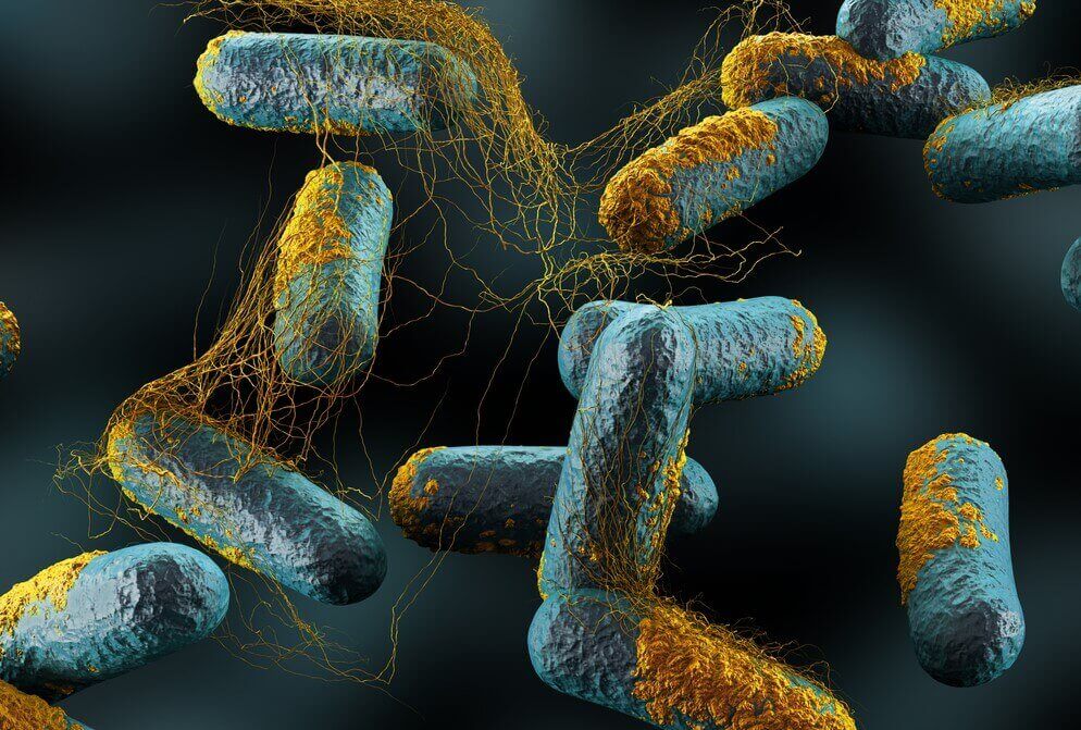 Streptokokkenbacteriën