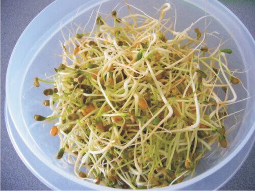 Voedingsdeskundigen zouden geen taugé eten