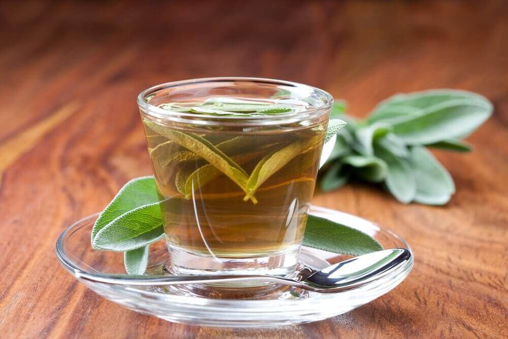 Thee van salvia