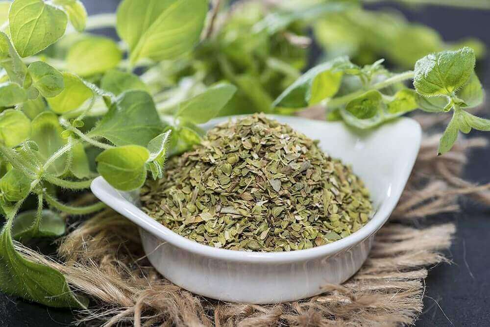 De symptomen van bronchitis: oregano