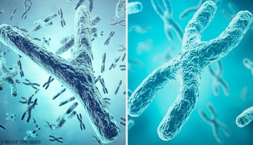 Chromosomale inactivering: een belangrijk proces in de geslachtsbepaling