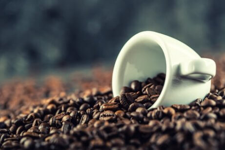 Recepten met koffie: koffiegelatine