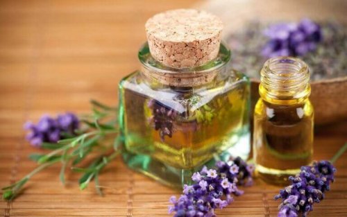 Etherische olie van lavendel is ideaal tegen vlooien
