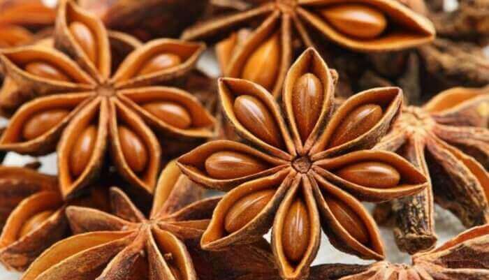 De spijsvertering bevorderen: steranijs