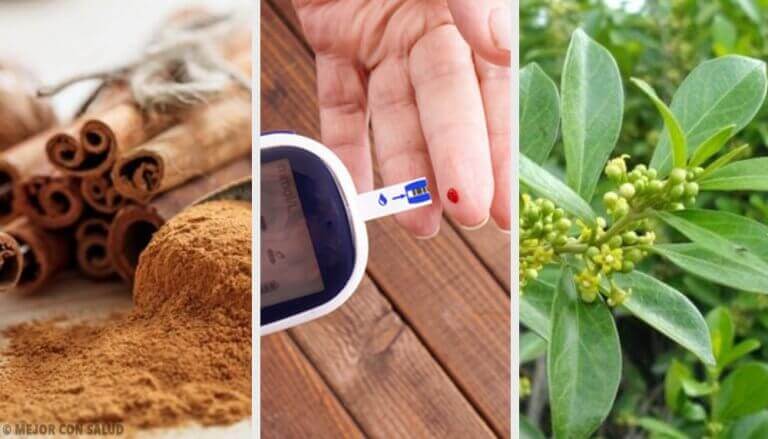 5 geneeskrachtige planten voor diabeten