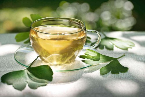 Ginkgo Bilobathee helpt je bloedsomloop