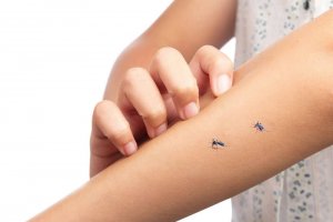 Hoe je vitamine B1 als muggenspray kunt gebruiken