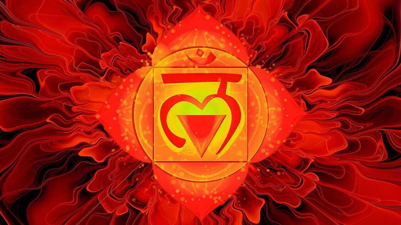 Muladhara, Sanskriet voor wortel, is het eerste chakra