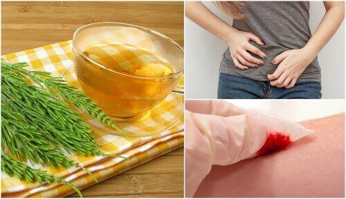 Remedies voor de gezondheid van paardenstaart