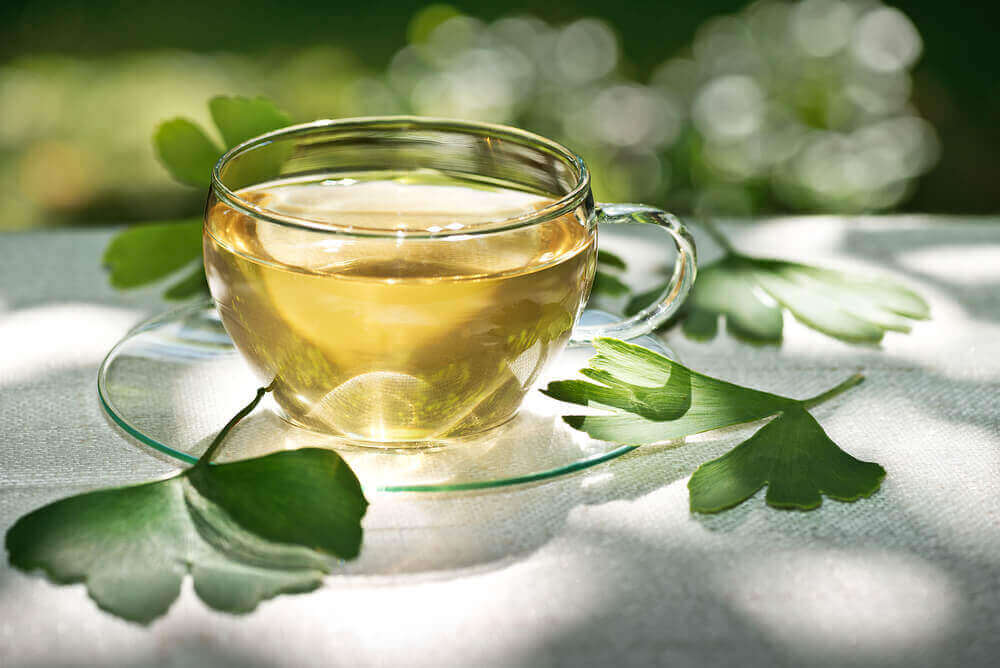Ginkgo biloba thee