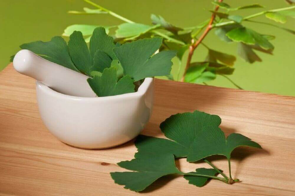 Zelfgemaakte afrodisiaca: ginkgo biloba