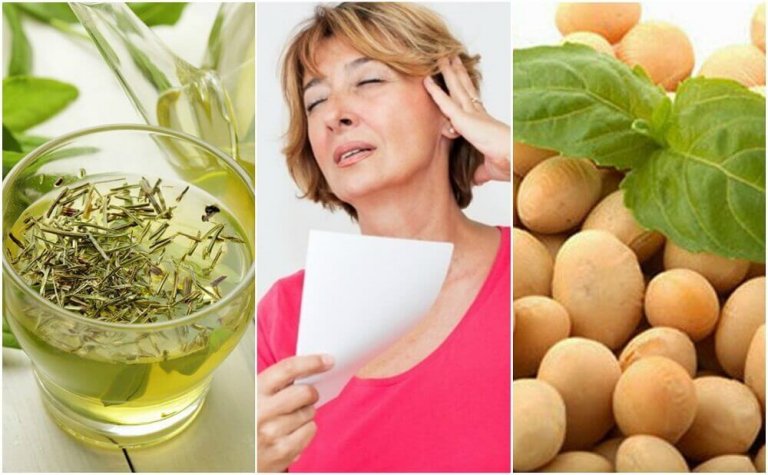 5 natuurlijke producten om de menopauze onder controle te houden