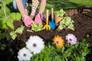 7 manieren om azijn in je tuin te gebruiken