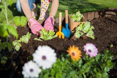 7 manieren om azijn in je tuin te gebruiken
