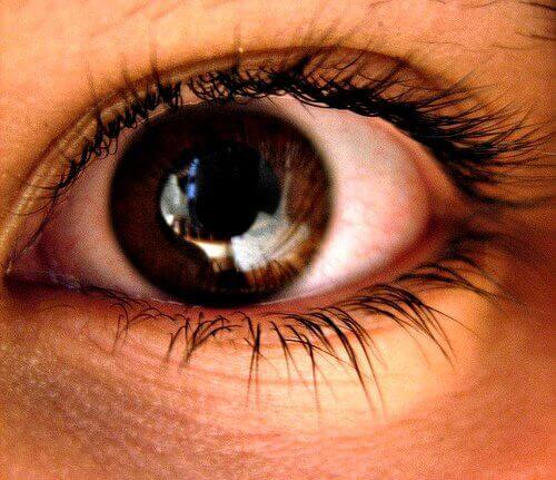 Bruin oog met zichtbare pupil