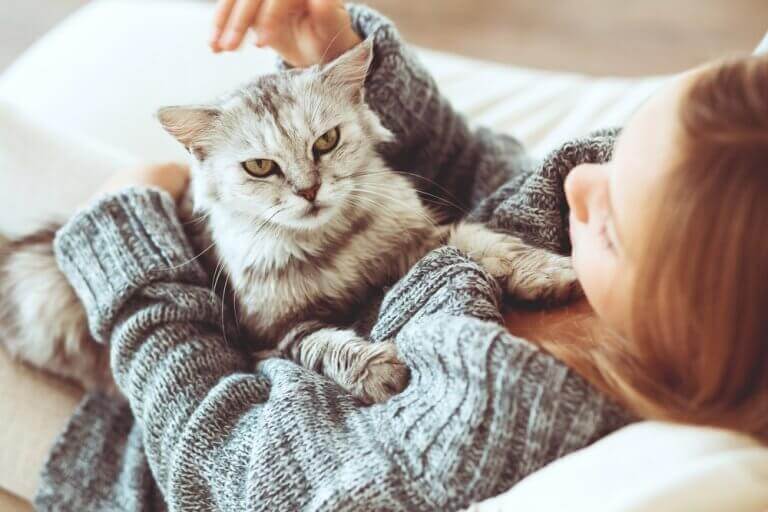 Meisje kroelt met kat