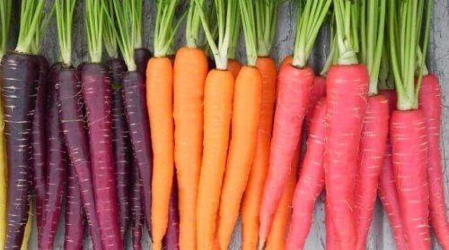 De gezondheidsvoordelen van wortels