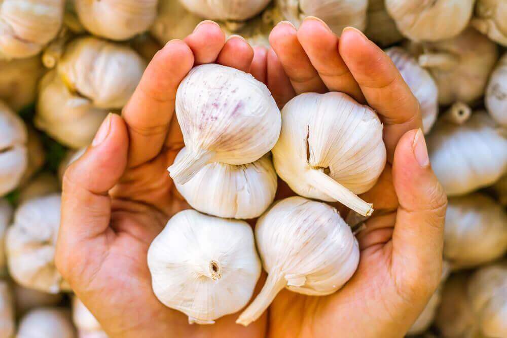 Knoflook tegen hoofdschimmel