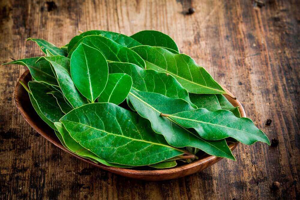 Bakje met laurierblaadjes