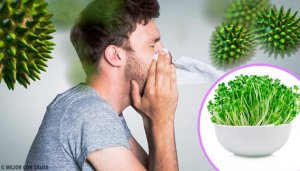 De zes gezondheidsvoordelen van alfalfa eten