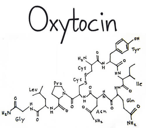 Wat is het hormoon oxytocine ?