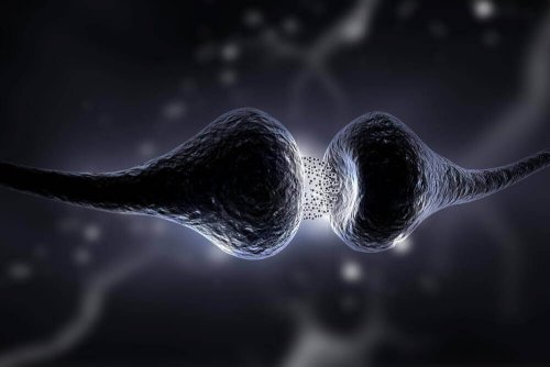 Het serotoninedieet: wat is het en wat zijn de voordelen?