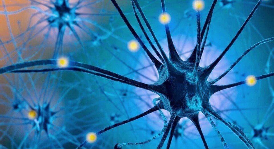 Het serotoninedieet: molecule