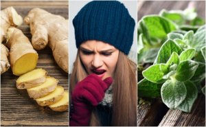 5 planten om overmatig slijm te verwijderen