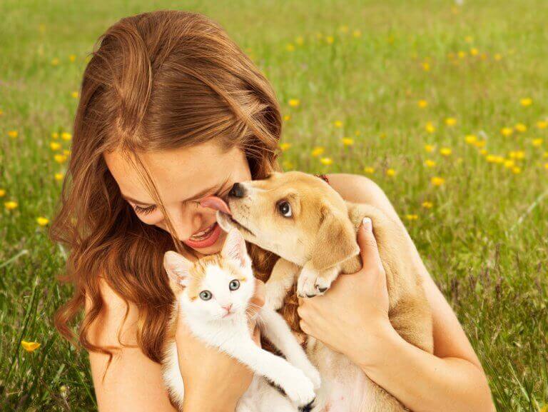 Vrouw met kitten en pup in het gras