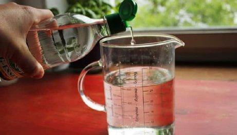 Azijn in je tuin voor mooiere bloemen