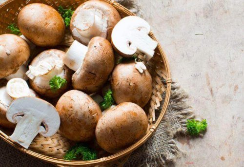 Verse champignons zijn lekker om op te vullen