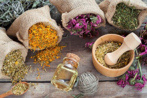 Hyaluronzuur: aromatische kruiden