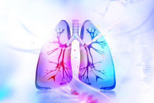 Probeer deze middelen om je longen te reinigen