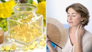 Wat is teunisbloem en welke voordelen biedt het?