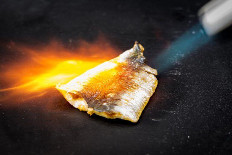 Gegratineerde vis bereiden door de vis te branden met een brander