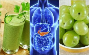 De alvleesklier reinigen met vijf natuurlijke remedies