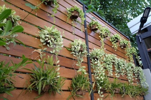 4 ideeën om je muur om te toveren tot een verticale tuin