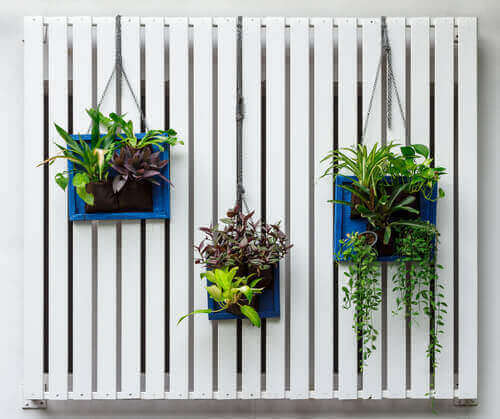 Een verticale tuin kan je met alledaagse voorwerpen maken
