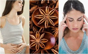 5 zelfgemaakte en waardevolle remedies met anijs