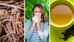 De behandeling van rinitis met 4 natuurlijke remedies