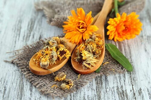 Goudsbloem gebruiken bij vaginale jeuk
