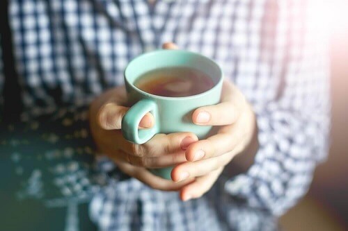 Het gebruik van mariadistel