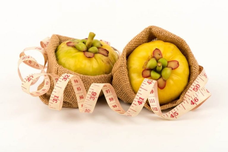 Garcinia Cambogia - een natuurlijk afslankmiddel