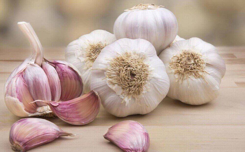 Knoflook