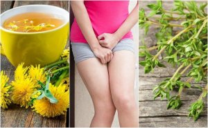 5 kruidenbehandelingen voor cystitis