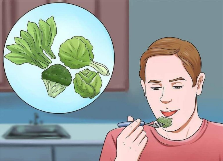 De Zes Gezondheidsvoordelen Van Alfalfa Eten Gezonder Leven