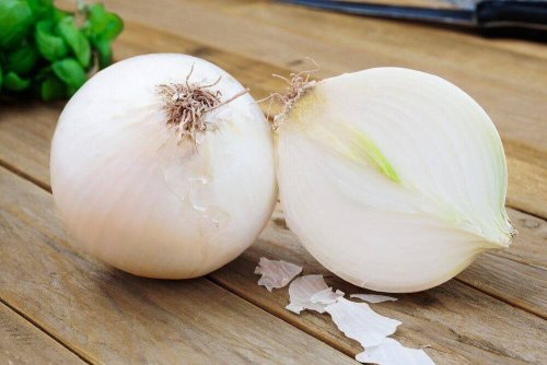 Uien tegen mondzweren