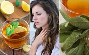 Infecties van de luchtwegen behandelen met 5 natuurlijke remedies