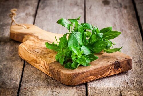 Saus met basilicum en rucola